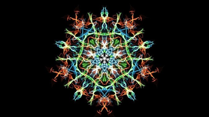 新手养鱼，养什么鱼好？